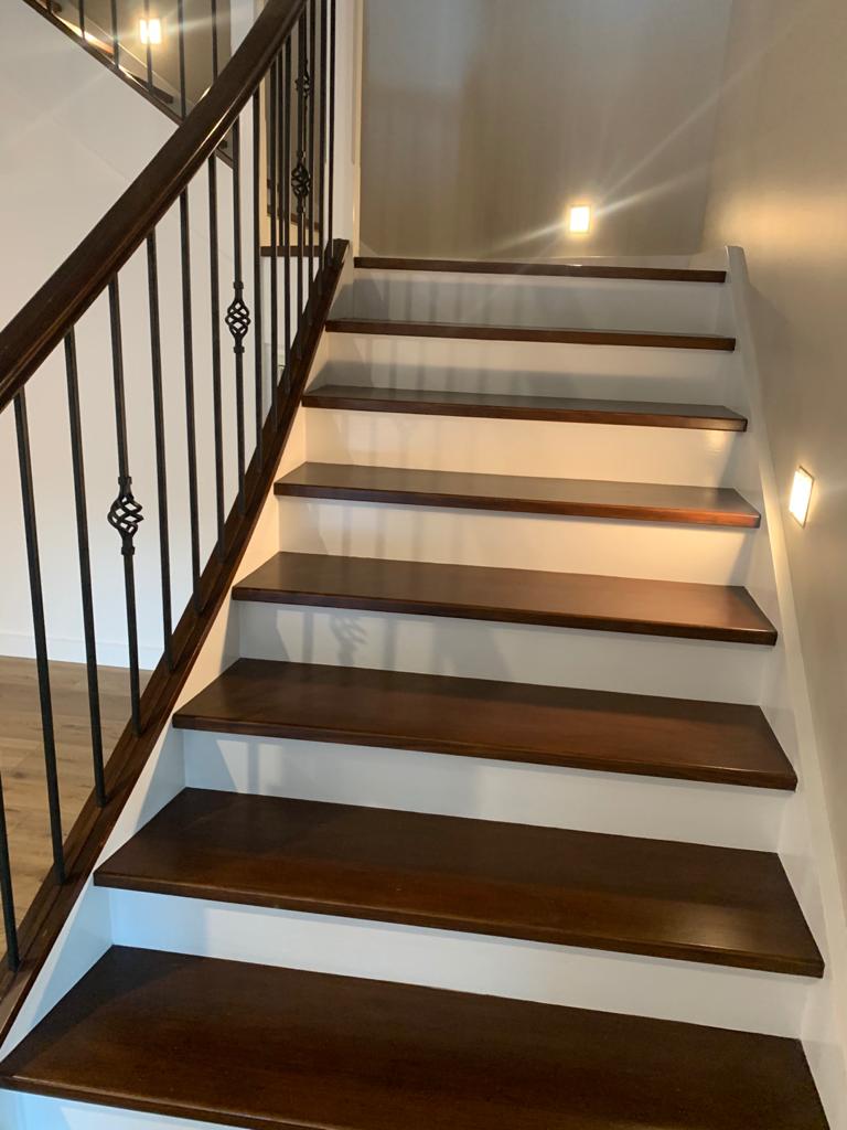 Stair Case - painting and renovation